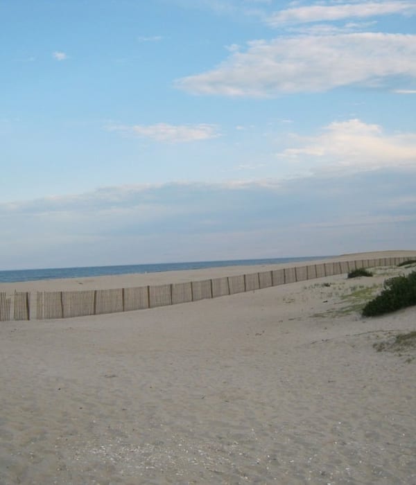 Karen Sollod, President of Beachside Research